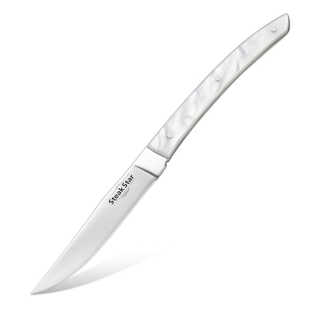 Acrylic and Resin Handle Sprint Steak Knife