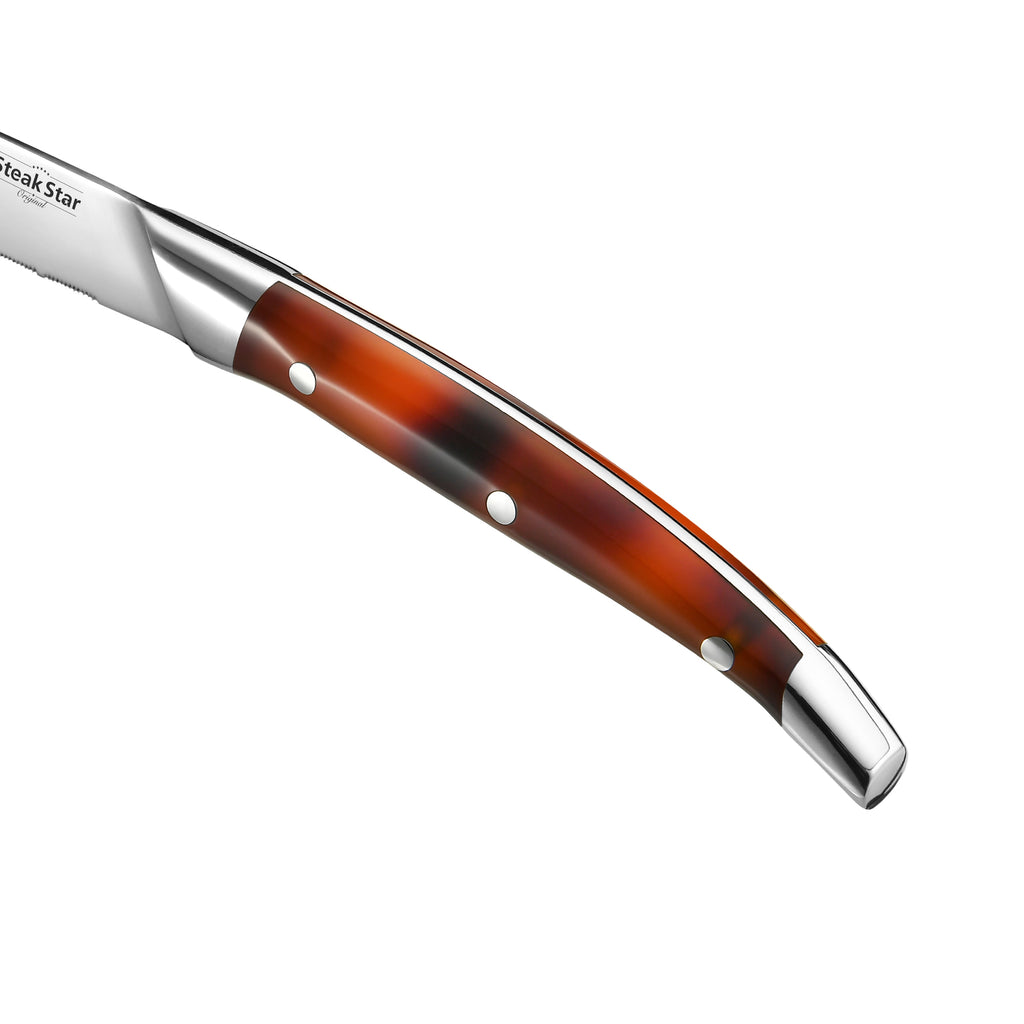 Acrylic and Resin Handle Marbling Steak Collection