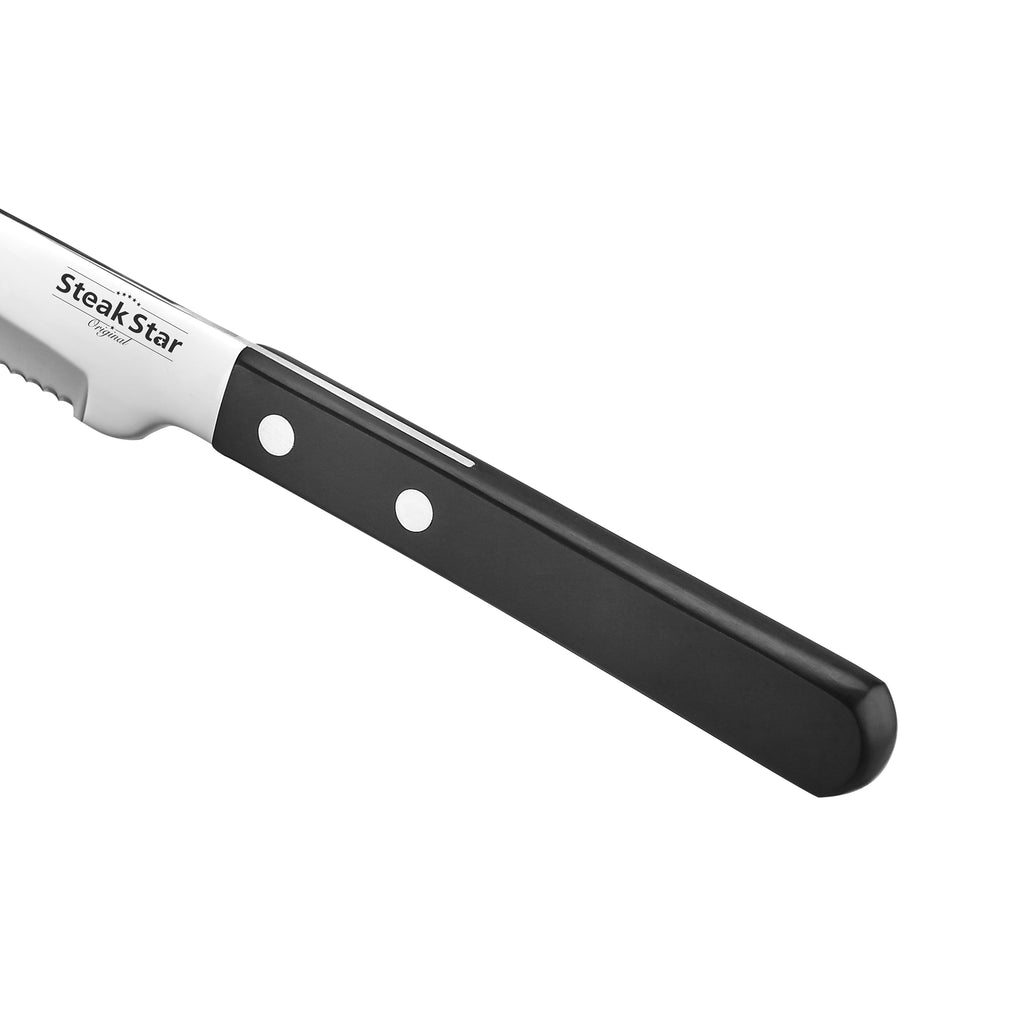 Bolster Plastic Handle Sprint Steak Knife