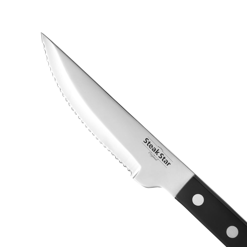 Bolster Plastic Handle Sprint Steak Knife