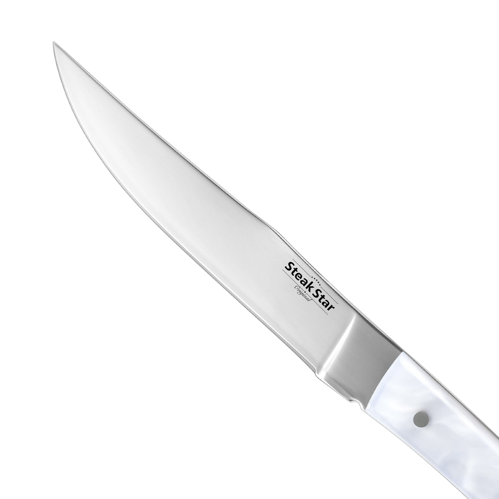 Acrylic and Resin Handle Marbling Steak Collection