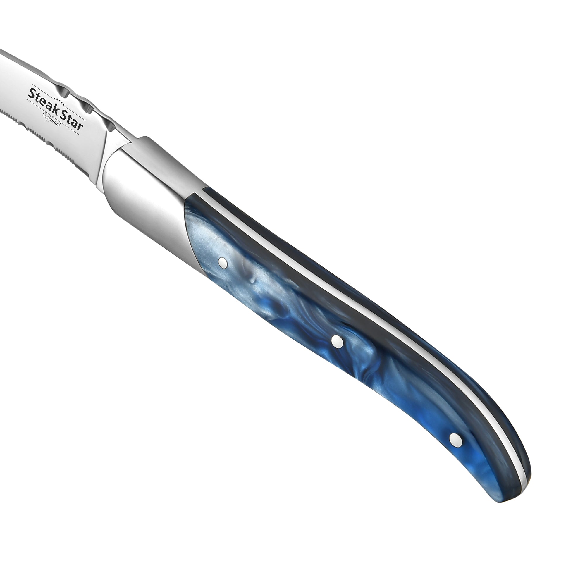 Acrylic and Resin Handle Marbling Steak Collection