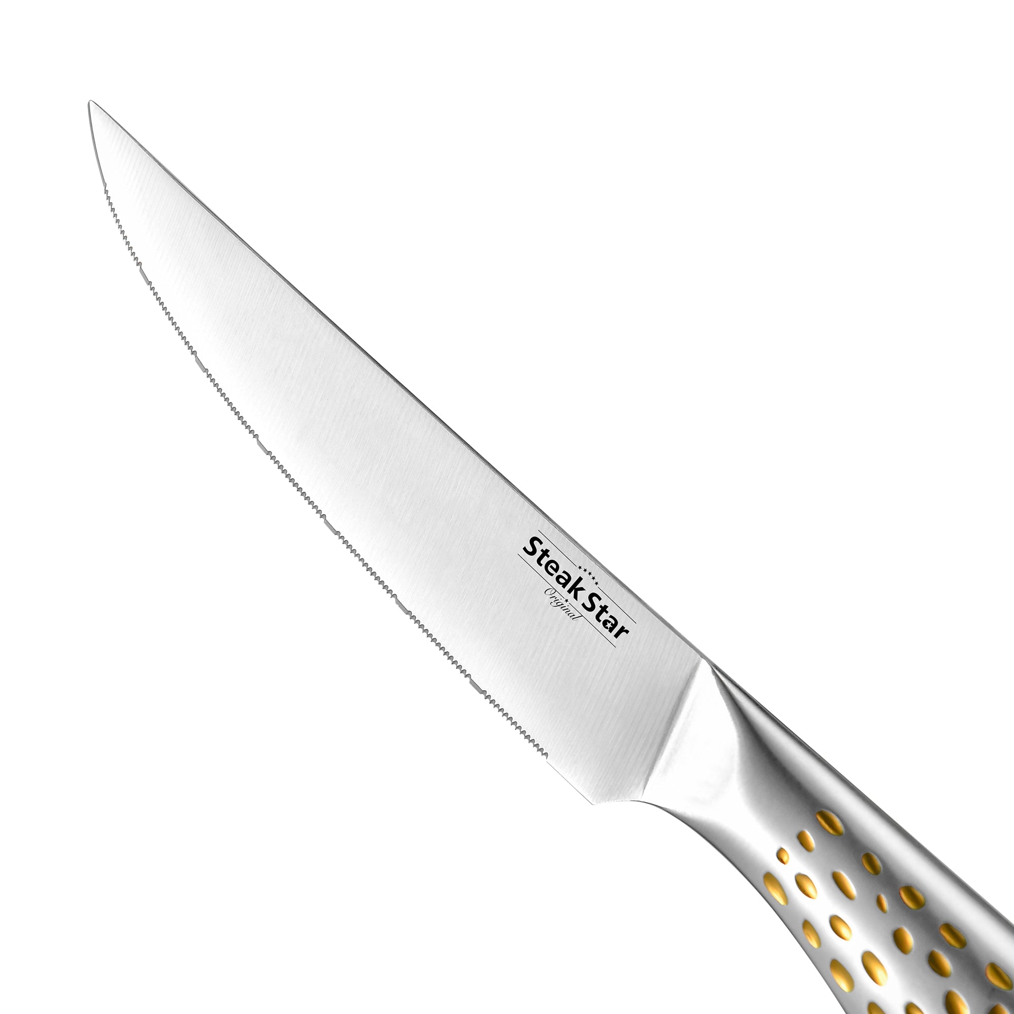 Stainless Steel Hollow Handle Apex Steak Collection