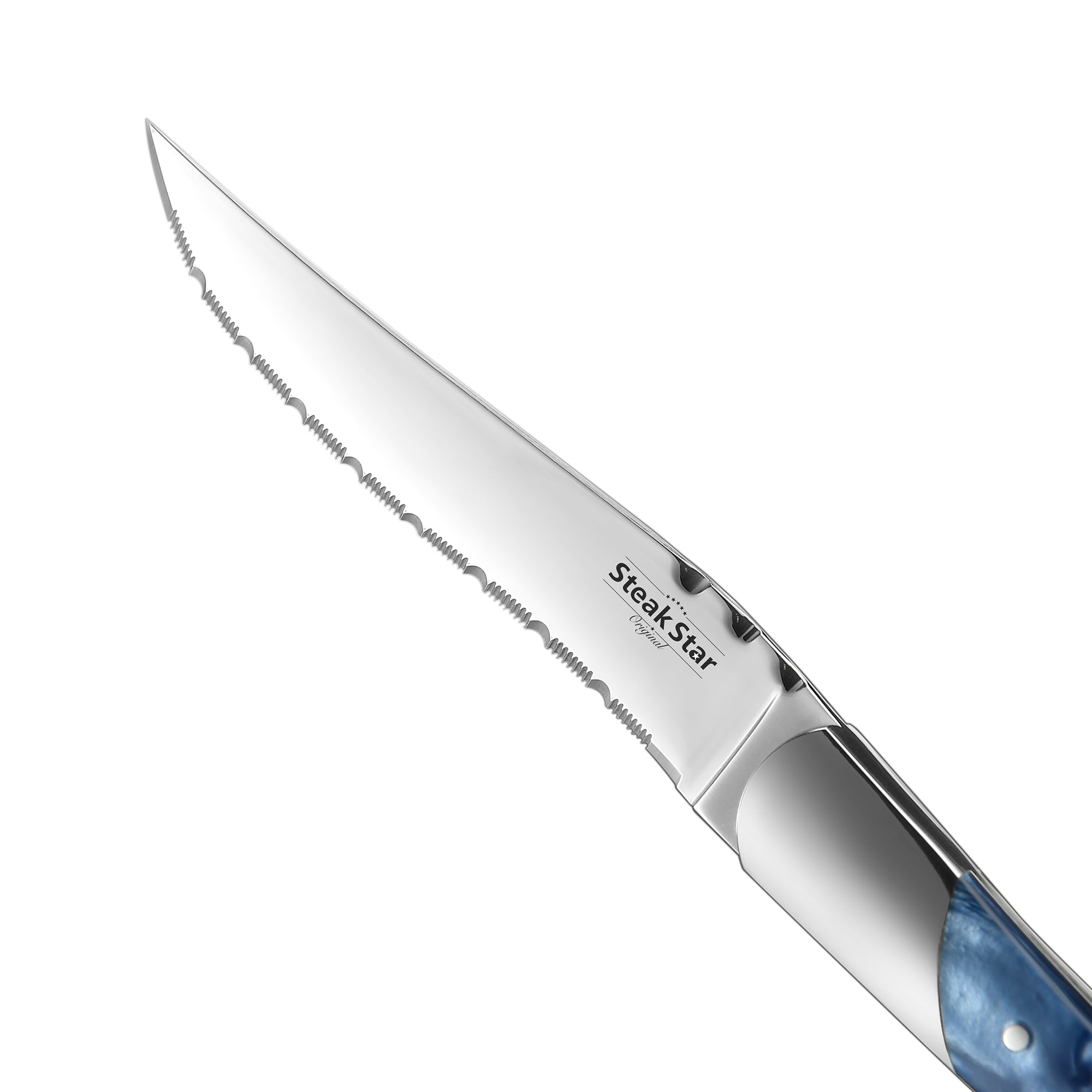 Acrylic and Resin Handle Marbling Steak Collection